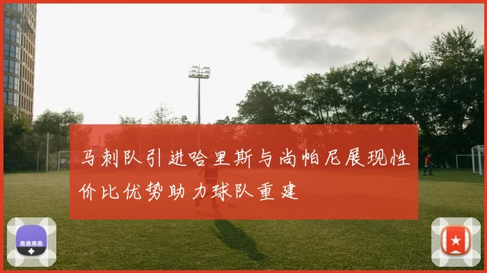 马刺队引进哈里斯与尚帕尼展现性价比优势助力球队重建