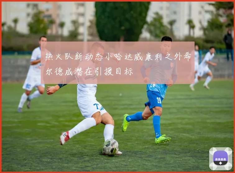 热火队新动态小哈达威康利之外希尔德成潜在引援目标